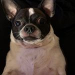 Brian Pagano - @bpagano1 - Instagram