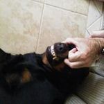 Brian Parkinson - @brparkinson64 - Instagram