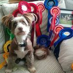 Brian Parkinson - @brian.parkinson.102 - Instagram