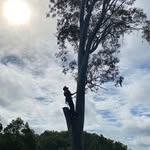 Mitchell Brian Parkinson - @mitchellbrianparkinson - Instagram