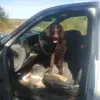 Brian Parsons - @brian.parsons20 - TikTok
