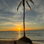 Brian Pascoe - @pascoebrian - Instagram