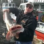 Brian Paulsen - @paulsen6661 - Instagram