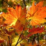 Brian Peace - @scplandscapes - Instagram