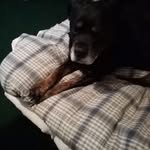 Brian Peace - @brianpeace48 - Instagram