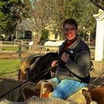 Brian Peek - @bwpeek - Instagram