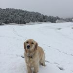 Brian Pemberton - @brian.pemberton - Instagram