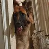 Brian Pemberton - @brian.pemberton - TikTok