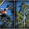 Brian Penney - @skiclimb - TikTok