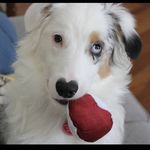 Brian Penney - @bpenn8966 - Instagram