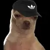 Brian Peppers - @brian.peppers0 - TikTok