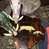 Brian Perez - @brianperez2321 - TikTok