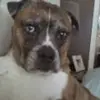 brianpfeifer4 - @brianpfeifer4 - TikTok