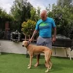 Brian Philpott - @brianphilpott3 - Instagram