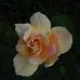 Brian Pickett - Facebook