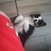 Brian Piotrowski - Facebook