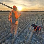 Brian Pippin - @pippin_brian - Instagram