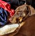 Brian Poisson - Facebook