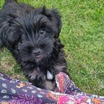 Brian Baglee-Jones - @the_pompey_life_of_brian - Instagram