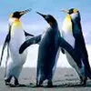 pondi - @brianpond8 - TikTok