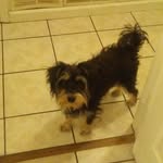 Brian Postle - @jordanpostle2004 - Instagram