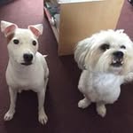 Brian Postlethwaite - @postlethwaitebrian - Instagram