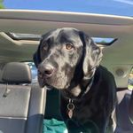 Brian Pothier - @brian.pothier.9 - Instagram