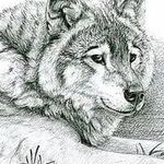 Brian Pritchett - @bama82022 - Instagram