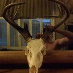 Brian Pugsley - @pugsleybrian - Instagram