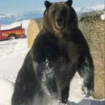 Brian Pulver - @brp0865 - Instagram