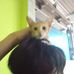 Brian Putra - Facebook
