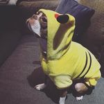 Brian Radigan - @radigan.brian - Instagram