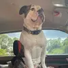 bryanradigan74 - @bryanradigan74 - TikTok