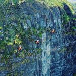 Brian Rainey - @raineyrestorationltd - Instagram