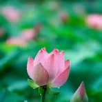 Brian Raker - Facebook