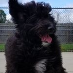 Brian Raley - @raley_brian - Instagram