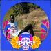 Brian Ray - Facebook
