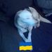 Brian Redpath - Facebook