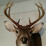 Brian K. Reel - @brian.reel.79 - Instagram
