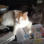 Brian Reger - @brianreger - Instagram