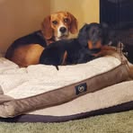 Brian Renfrow - Facebook