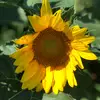 user6098418155014 - @rewolinski - TikTok