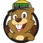 Brian Richards - @brianrichardstreeservice - Instagram