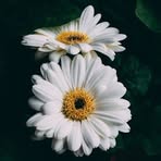 Brian Ricks - Facebook