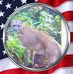 Brian Reed - Facebook
