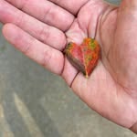 Brian Rifkin - @rifkin_brian - Instagram