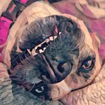 Brian Riggs - @brian_riggs - Instagram