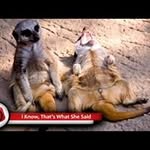 Brian Robb - @brobb1682 - Instagram