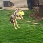 Brian Robison - @beon7 - Instagram