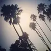 Brian Rocha - @brianrocha1 - TikTok